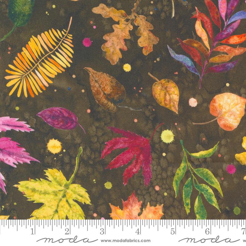 Floribunda Soil Leaves