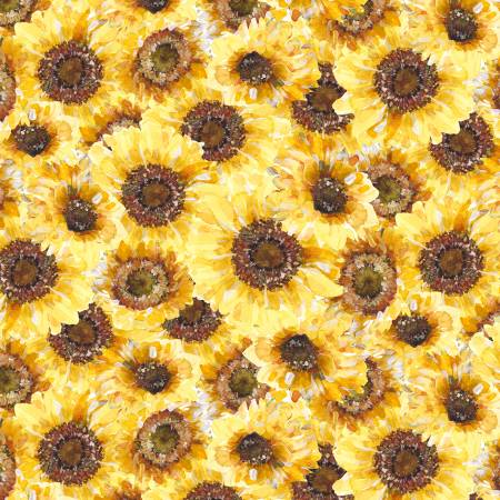 Multi Sunflower