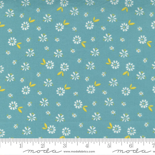 Seashore Drive Teal
