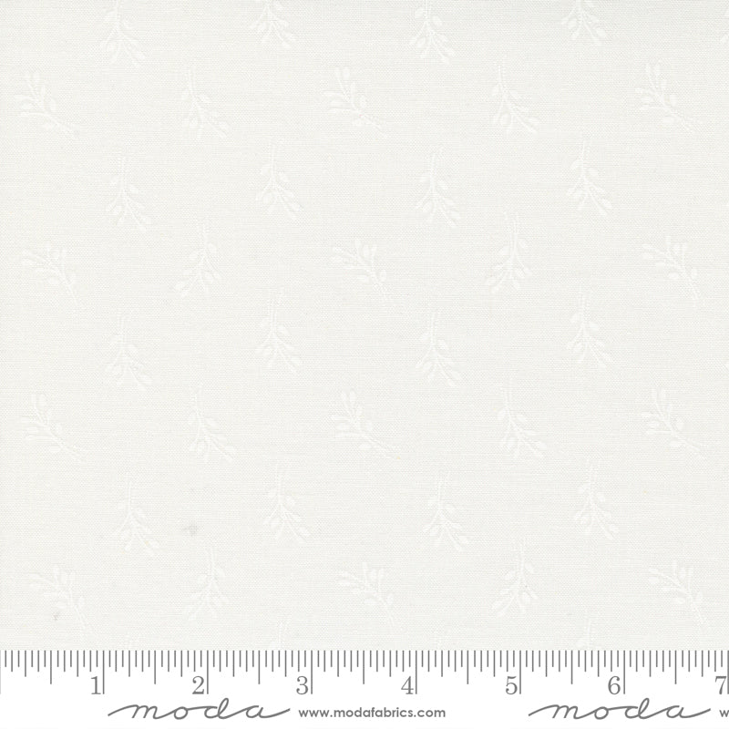 Coriander Seeds White