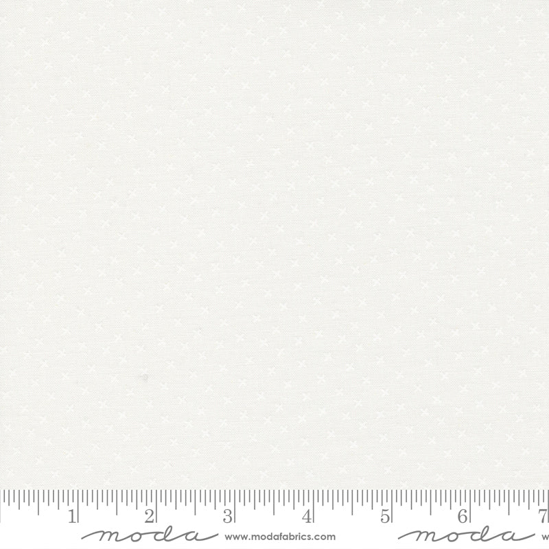 Coriander Seeds White