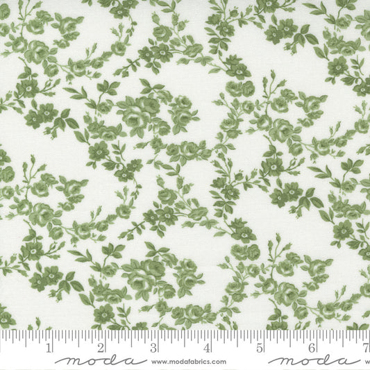Nantucket Summer Cream Grass