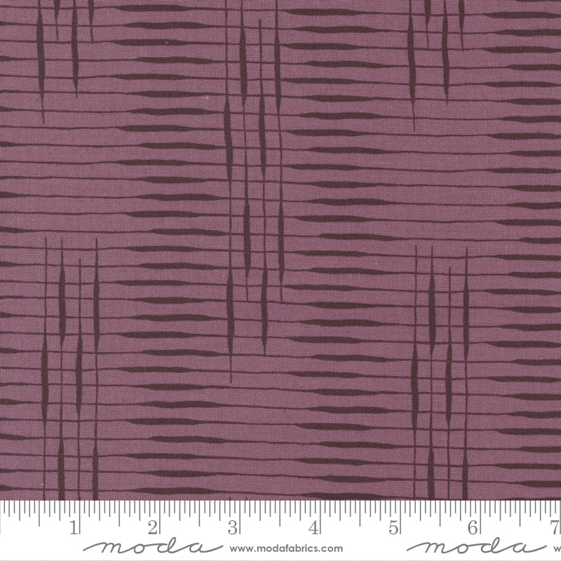 Slow Stroll Plum