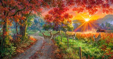 Country Whitetails Panel 24In Multi
