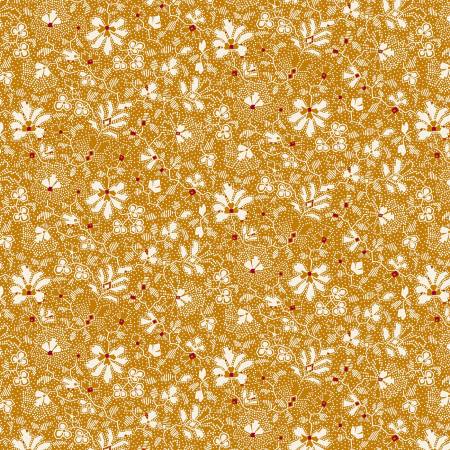 Orange Clover Patch