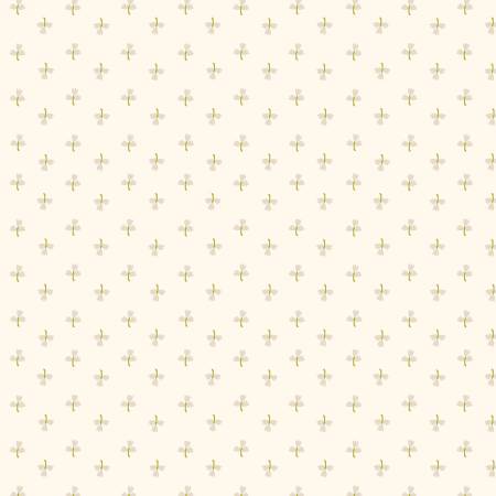 Cream Tulips