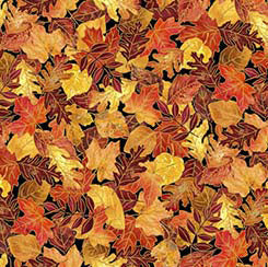 Autumn Forest -