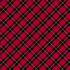 Checking It Twice - Tartan Plaid - Red