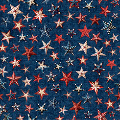 ALL AMERICAN SNOWMAN - NAVY STARS