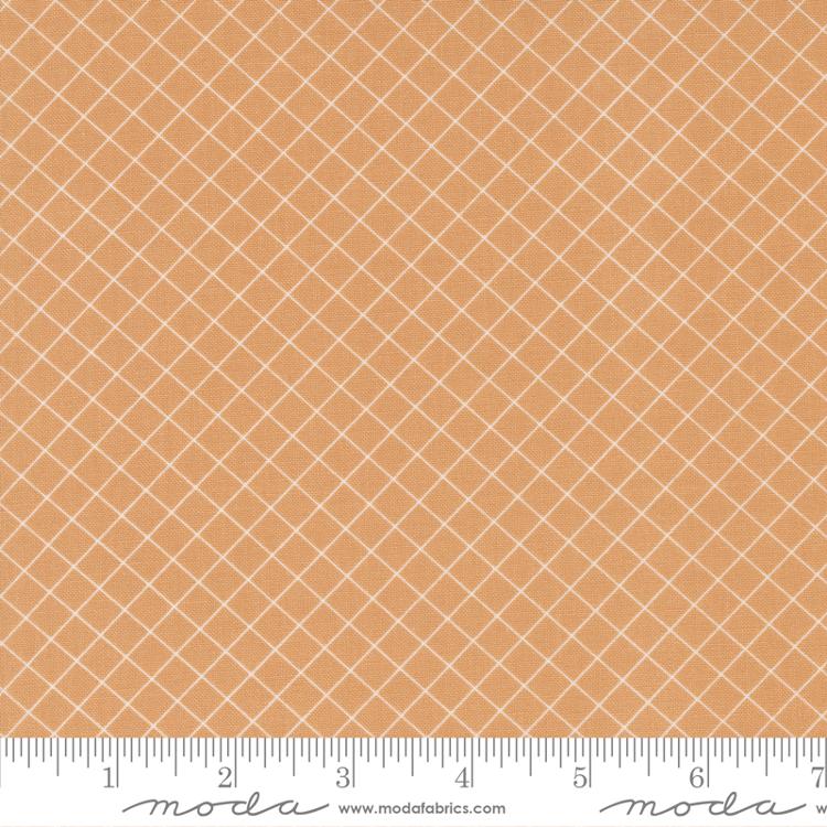 Sunnyside Graph Apricot