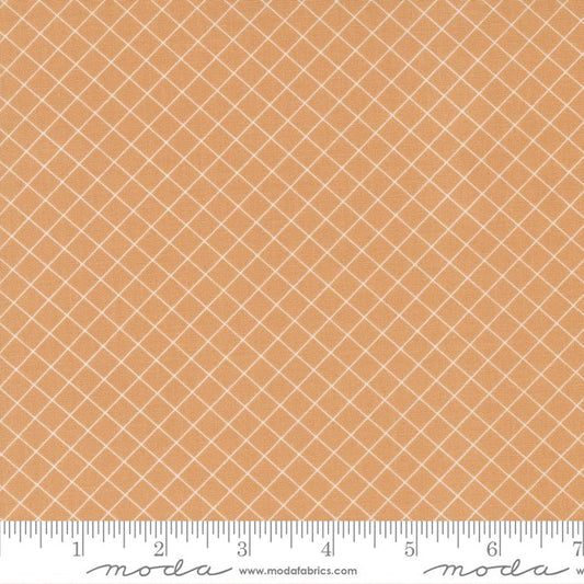 Sunnyside Graph Apricot