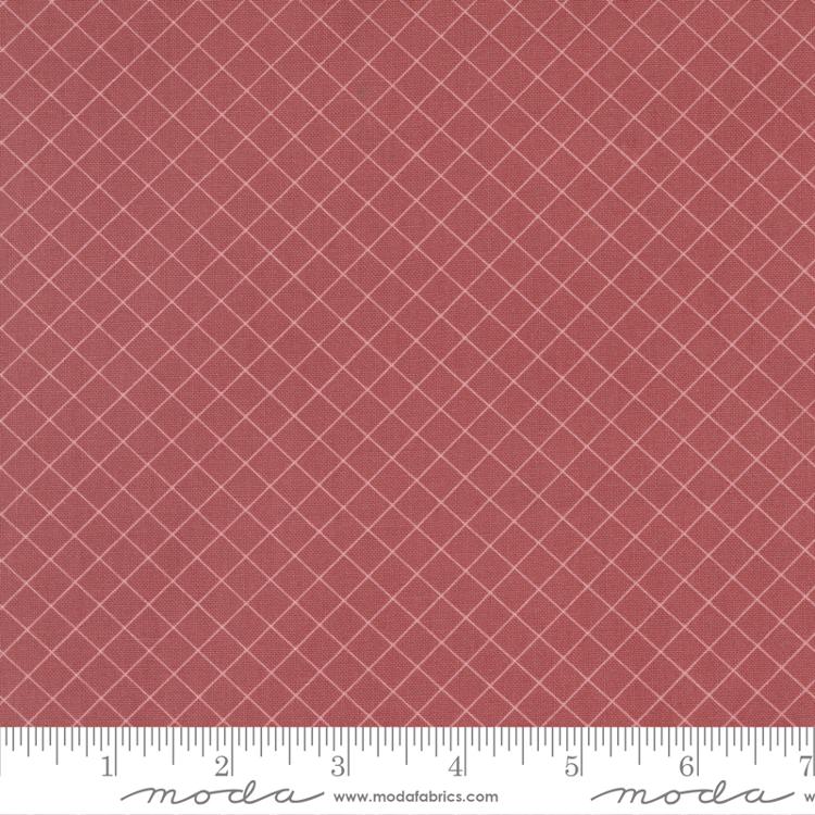 Sunnyside Graph Blush