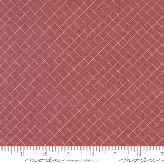 Sunnyside Graph Blush