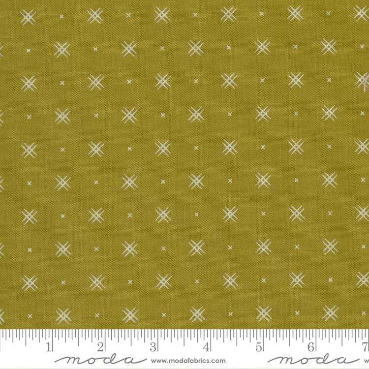 Beyond Bella New Green Olive