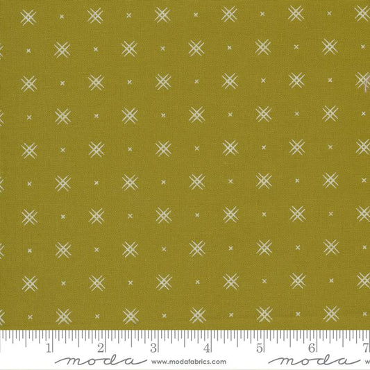Beyond Bella New Green Olive