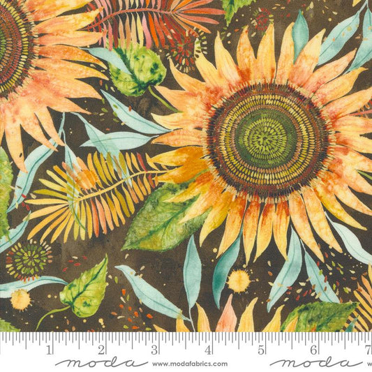 Floribunda Soil Sunflower