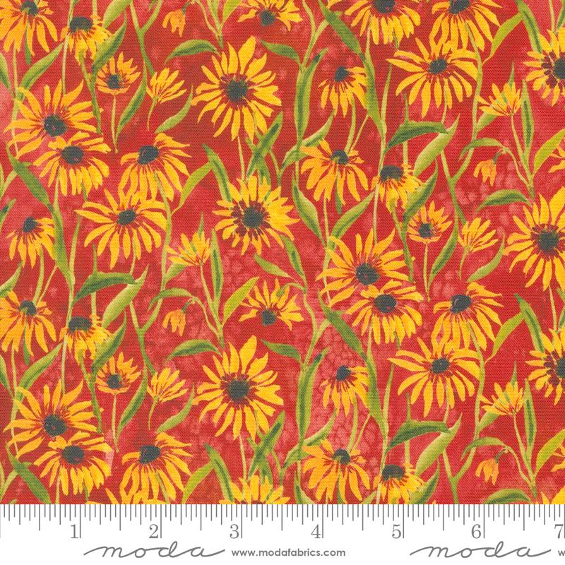 Floribunda Spice Daisies