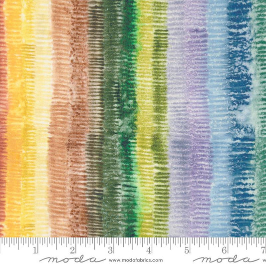 Floribunda Rainbow Wash