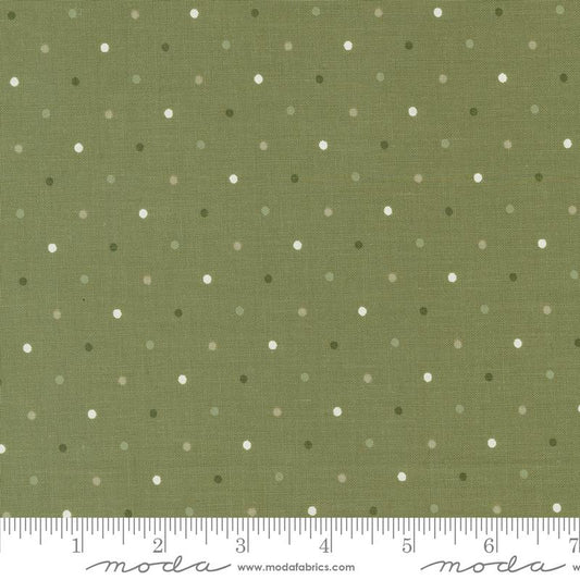 Magic Dot Fern