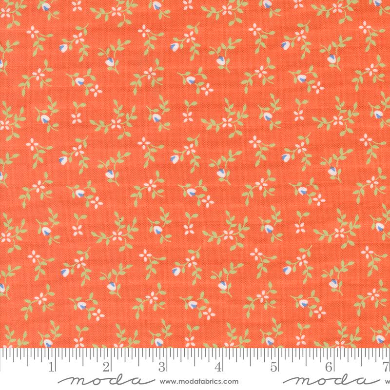 Cali Co Melon 29192 34