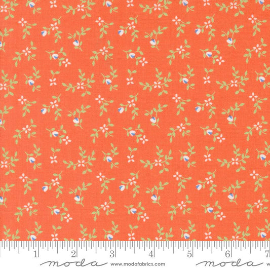 Cali Co Melon 29192 34