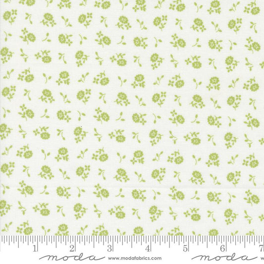 Cali Co Cloud Pistachio 29195 17