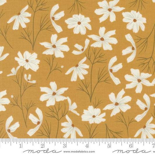 Seaglass Summer Sunshine Floral