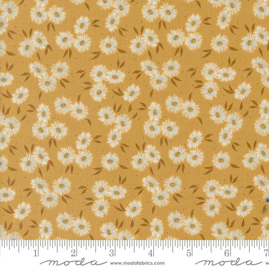 Seaglass Summer Sunshine Floral