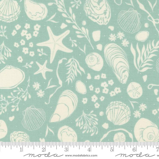 Seaglass Summer Ocean Air Shells