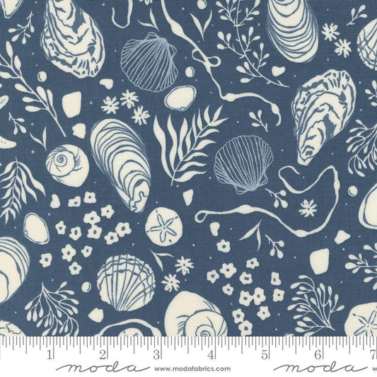 Seaglass Summer Indigo Sea Shells