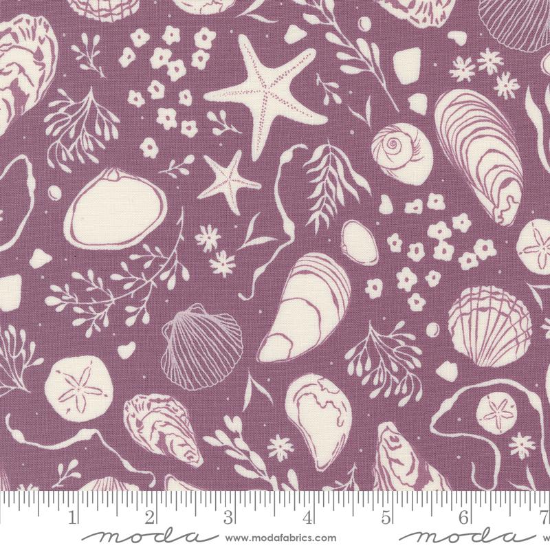 Seaglass Summer Beach Plum Shells
