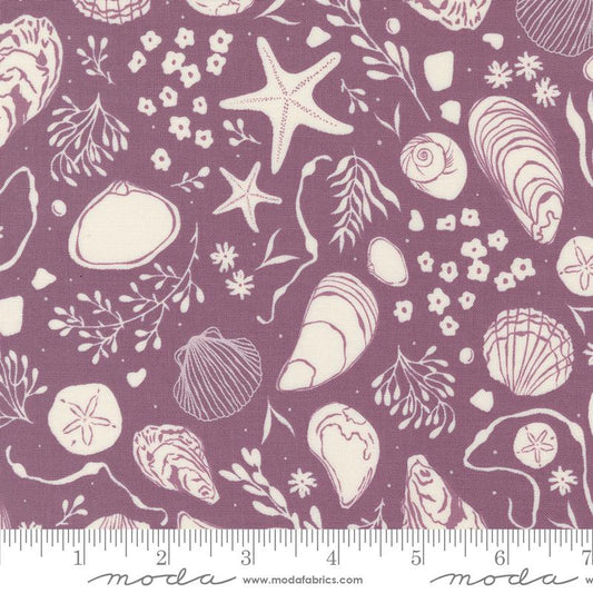 Seaglass Summer Beach Plum Shells