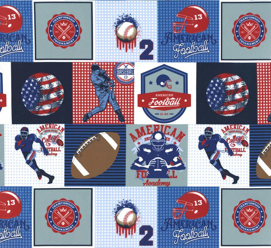 Play Ball Multi