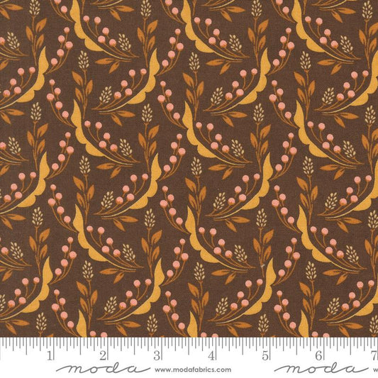 Acorn Hollow Nutmeg