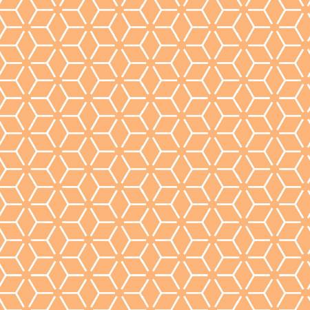 KimberBell Basics Orange