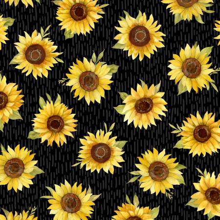 Black Sunflower Toss