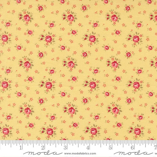 Lyda Rose Sunwashed Rose