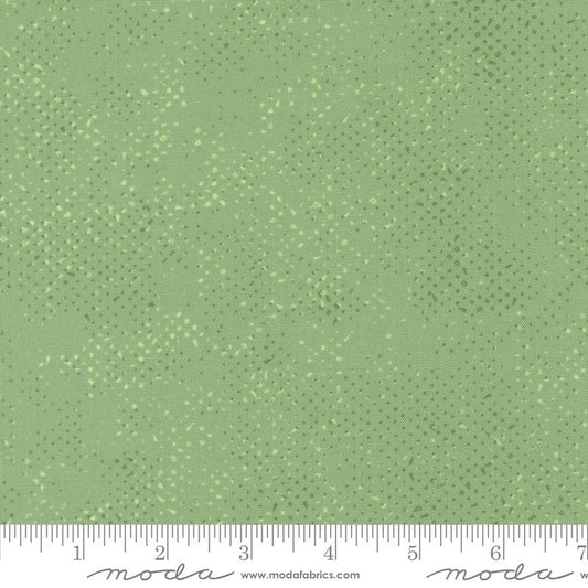 Spotted Celadon