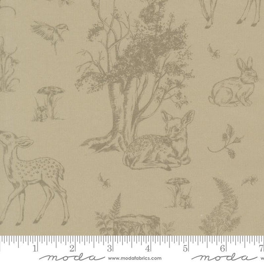 Fable and Fern Sage Print