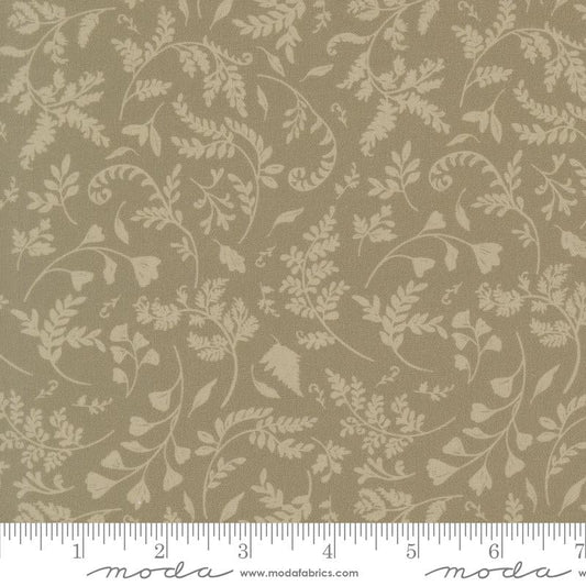 Fable and Fern Sage Fern Print
