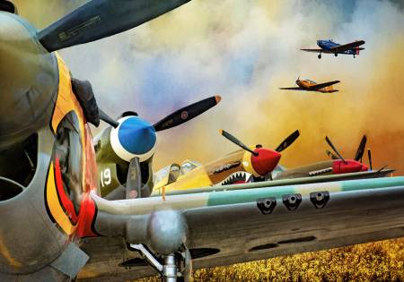 Vintage Airplanes Panel