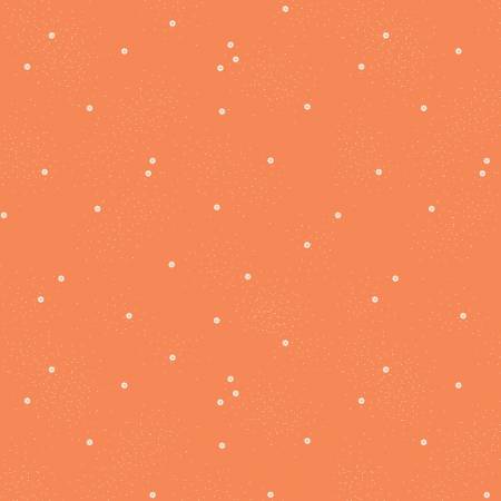 Dainty Daisy Color Pumpkin