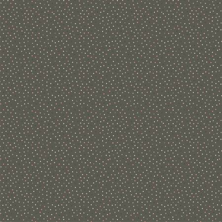 Country Confetti Weathered Wood Gray