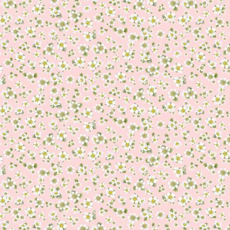 Pink Strawberry Blossoms