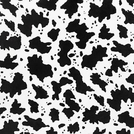 Black Cow Moo Digital Cuddle
