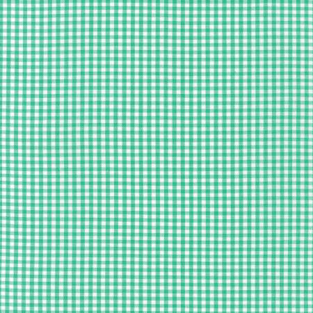 Seafoam Gingham
