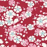 Woodland- Aster Carmine